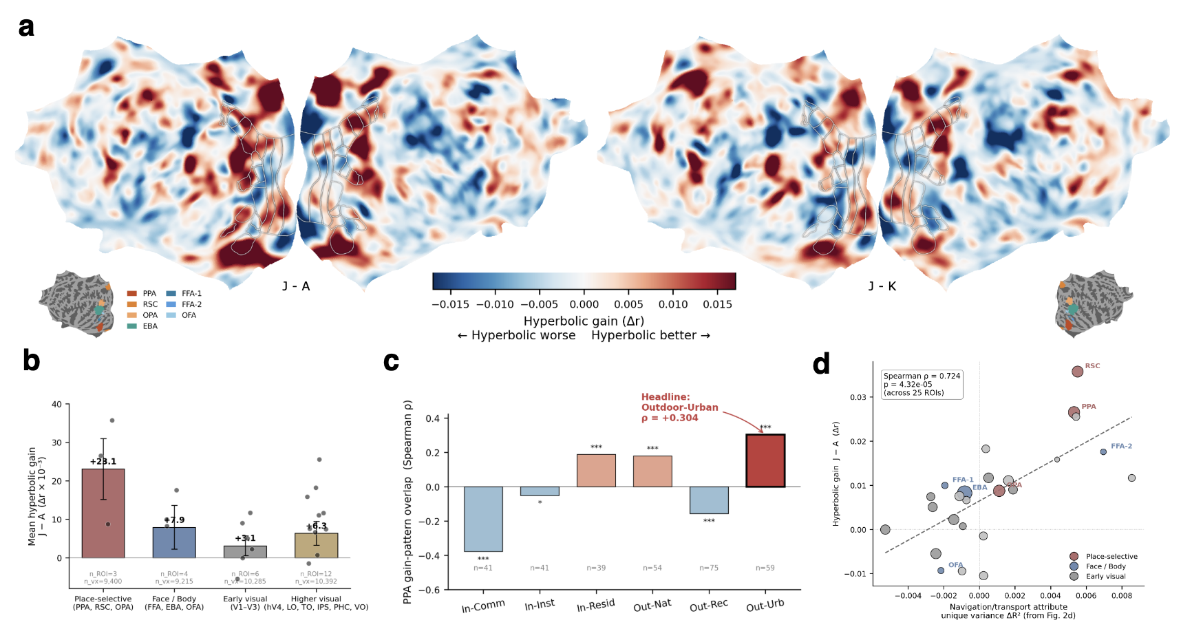 Brain-space hyperbolic gain maps and statistical summaries